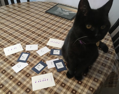 [cat sitting by piano]