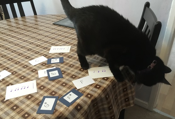 [cat sitting by piano]